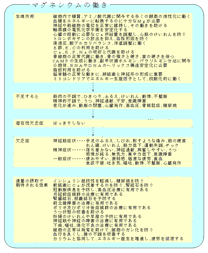 マグネシウムは体内でどのように働くか